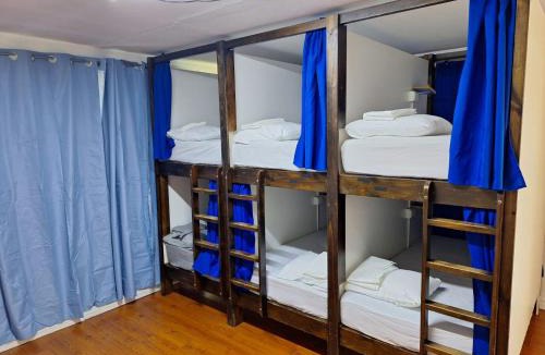 Barrio Dent House | Carolina hostel
