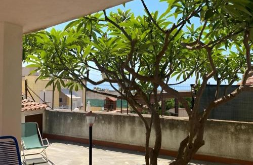 Triscina Villa | Casa Albamare