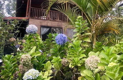 San Gerardo de Dota House | Casa de Nubes (The Cloud House)