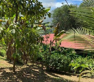 Langostino House | Casa Limon