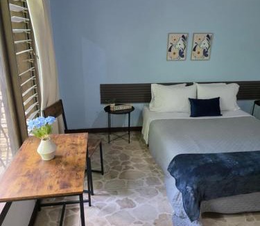 Barrio Dent House | casa luca