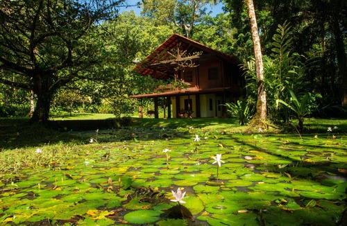 Palma House | Casa Ranas, Osa, Gorgeous Home on Edge of Private 32acres of Forest, Easy Access