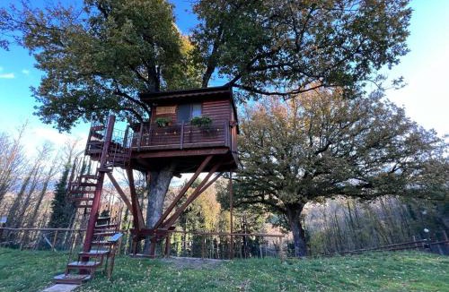 Rogliano House | Casa sull'albero Bocchineri