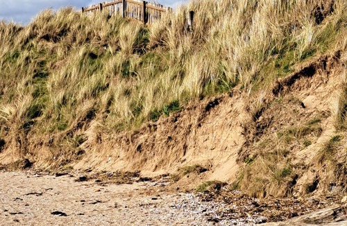 Troon Apartment | Charming 1-Bed Apartment in Troon