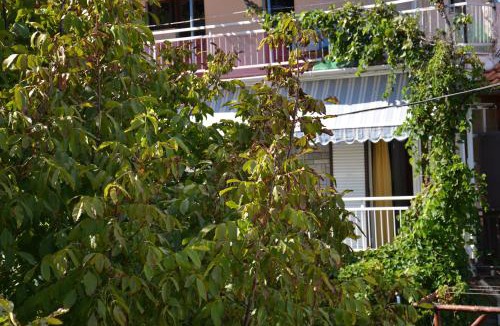 Chrisi Akti Hotel | Chrisi Akti Hotel