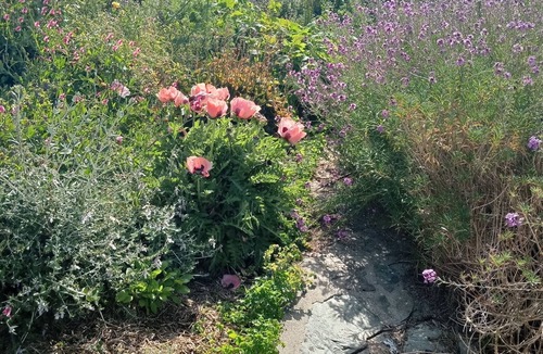 Oamaru House | Comfortable family home with beautiful wild gardens to enjoy.