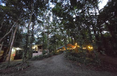Ballena House | Cool Waters Jungle Hostel