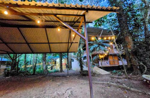 Ballena House | Cool Waters Jungle Hostel