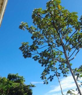 Pacuare Reserve Cabin | Corredores del Pacuare