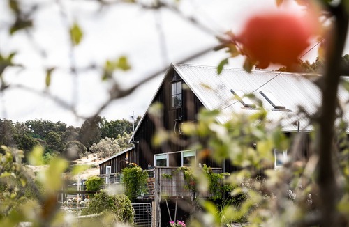 Cygnet House | Country charm meets laid-back luxury, where time slows and hairy moos roamnn