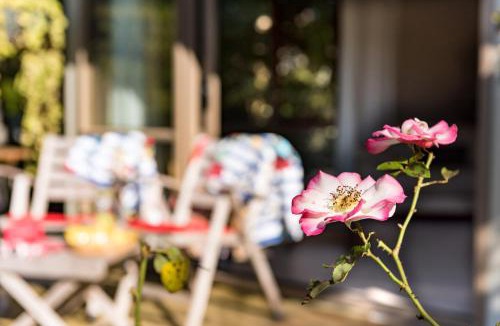 Paihia Apartment | Craicor Boutique Apartments