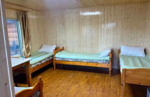 Hatgal Resort | Dalain turleg resort