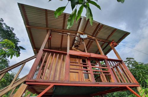 Pejibaye Apartment | Digrú Spaa
