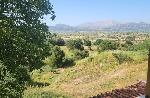 Magoulas Apartment | Dionysus House Lasithi Plateau