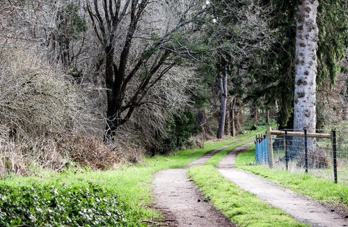 Deloraine House | Drumreagh Cabins