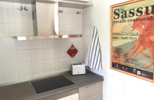 Cala San Vicente House | El Pinar