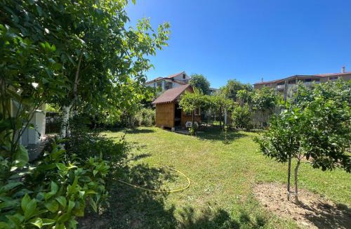 Elbasan Hostel | Elbasan Backpacker Hostel