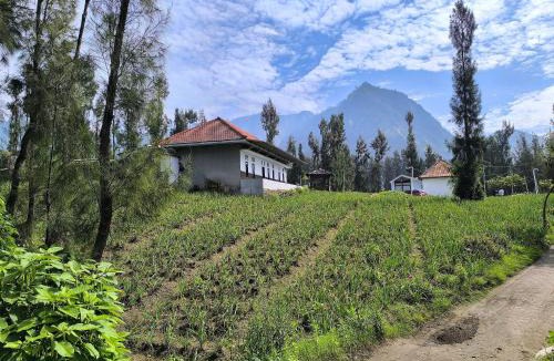 Ngadisari Hotel | Elen Villa by ABM