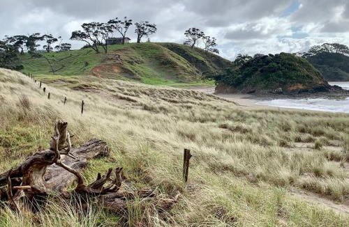 Rawhiti House | Elliot Bay - Hilltop Cottage