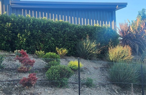 Bannockburn Cabin | Ensuite Retreat in The Heart of the Desert