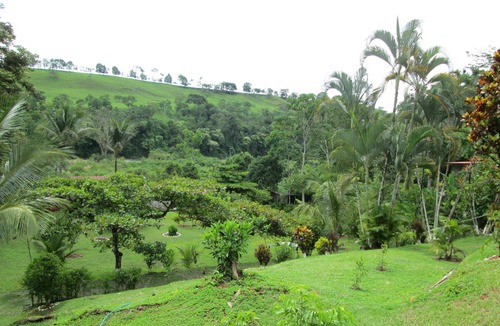 Daniel Flores House | Escape to Paradise & Enjoy every moment!