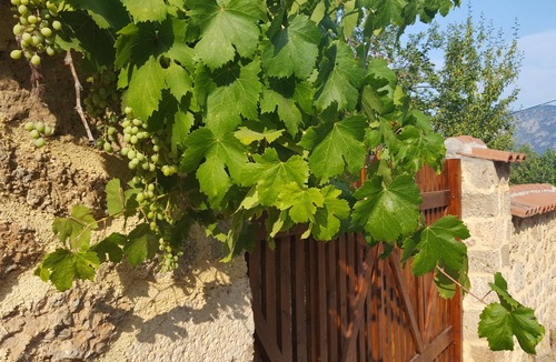 Egira Villa | Fabulous stay in rustic Villa Platanus (est. 1840)