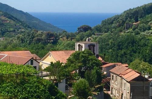 Campinola Bed & Breakfast | Farfalle e Gabbiani