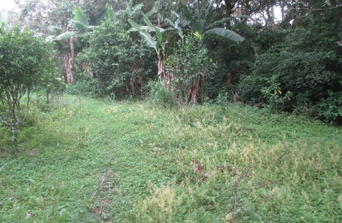 Concepcion RV Rental | Farm in heredia with tons of forest and great hikes