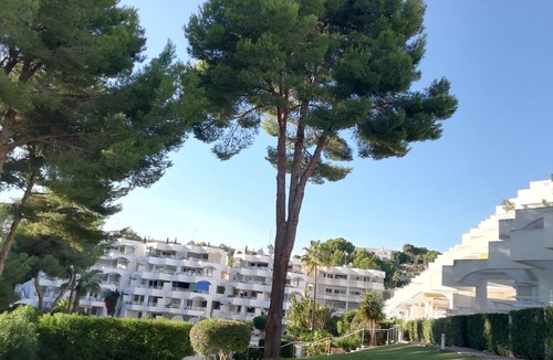 Badia de Palma Apartment | Favorite place in Mallorca, garden saltwater pool and direct sea access