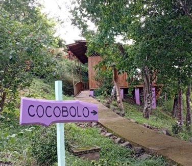 Paquera Cabin | Finca Colibri Ecolodges en Pleine Nature ferry Playa Najanjo Costa Rica