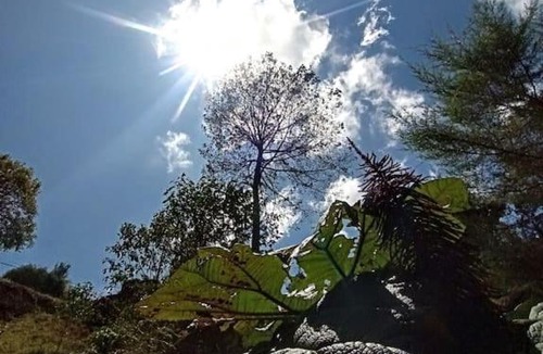 San Isidro House | Finca el calar