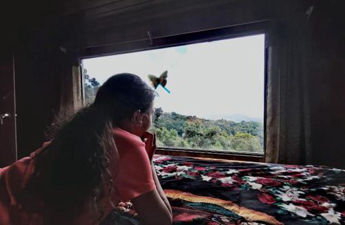 Copey Ski Chalet | Finca Virche