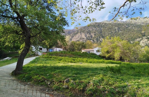 Samothrace Villa | Forest and Sea view villas