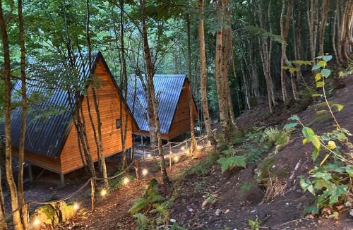 Shale Villa | Forest Escape