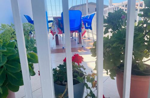 Divjake House | Fori Vodo