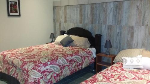 San Isidro de Grecia Cabin | Gated, Year round springon Poas Mountain, new American owned nature lodge