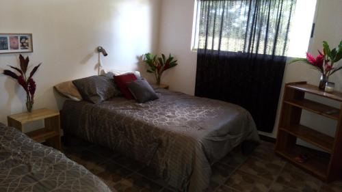 San Isidro de Grecia Cabin | Gated, Year round springon Poas Mountain, new American owned nature lodge