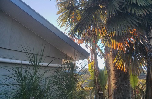 Riwaka House | Gateway to Abel Tasman Park, Kaiteriteri and Motueka. Quiet, spacious, light.