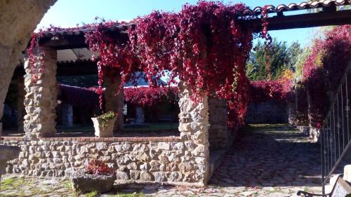 Polizzi Generosa House | Giardino Donna Lavia