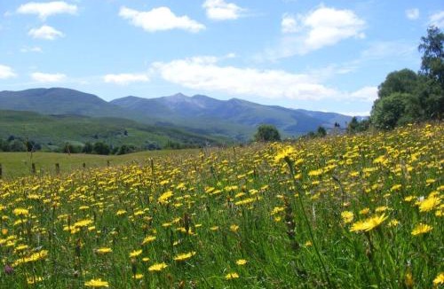 Roybridge Apartment | Glas Doire Lodge, Glen Roy Nature Reserve