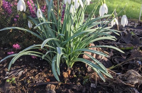 Lennoxtown Hotel | Glazert Country House Hotel