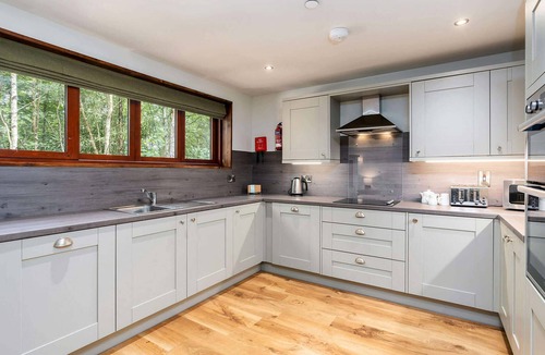 Peebles Cabin | Glentress Forest Golden Oak Treehouse, Peebles