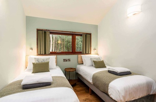Peebles Cabin | Glentress Forest Golden Oak Treehouse, Peebles