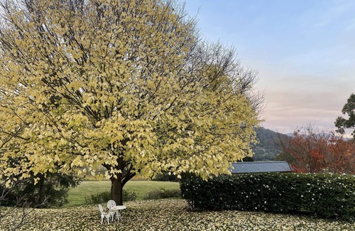 Castle Forbes Bay Cottage | Gorgeous cottage in the heart of the picturesque Huon Valley.