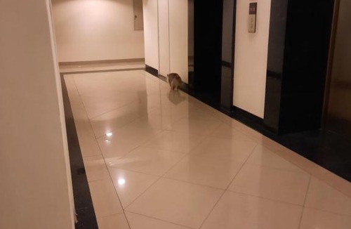 Pekayon Jaya Apartment | grand kamala lagon studio room tower barclay