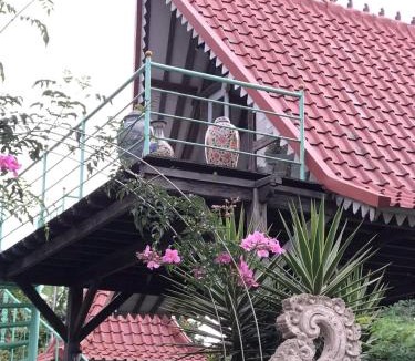 Wanagiri Cabin | green slope villa glamping
