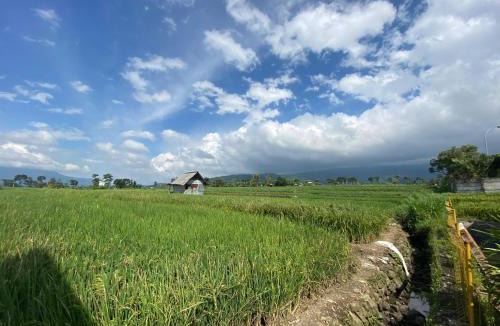 Pacet House | Griya Indah Homestay