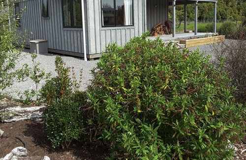 Haast Cabin | Haast Hideaway - Solar and Wind Powered Lodge