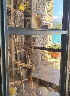 Stoupa Apartment | Halikoura Beach Apartments