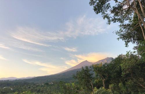 Bayan Cabin | Haris Homestay & Cottages